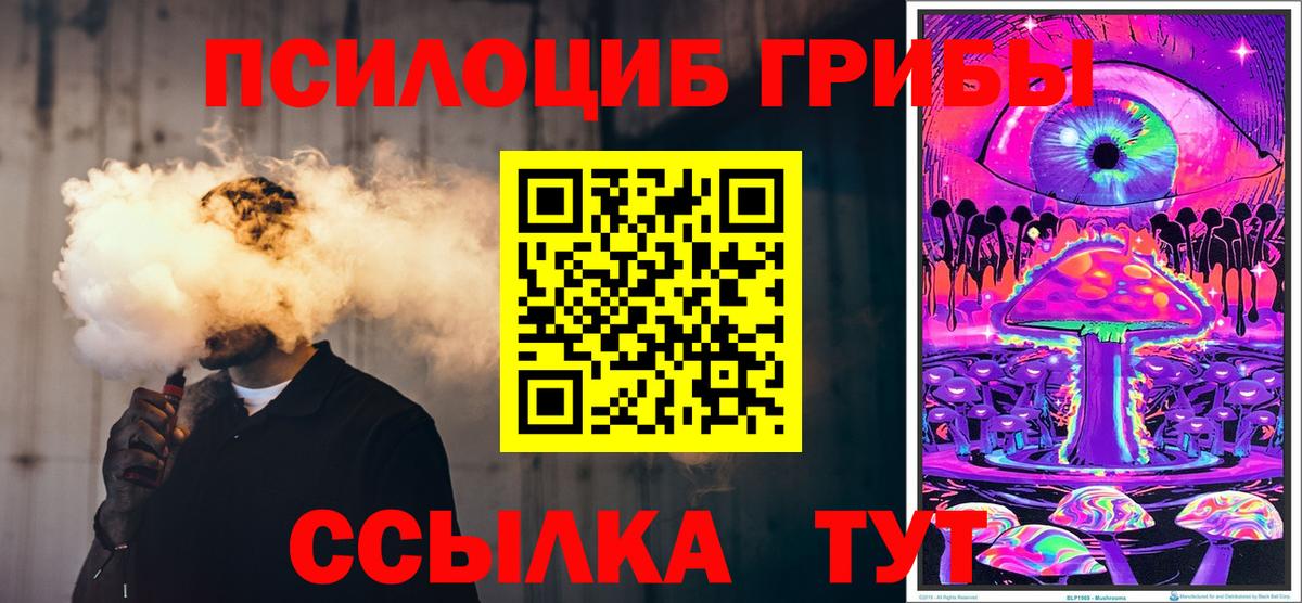 Псилоцибиновые грибы мицелий Десногорск